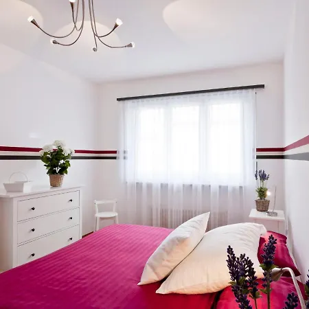 Appartement Michele - Utoring-11 By Interhome Ascona